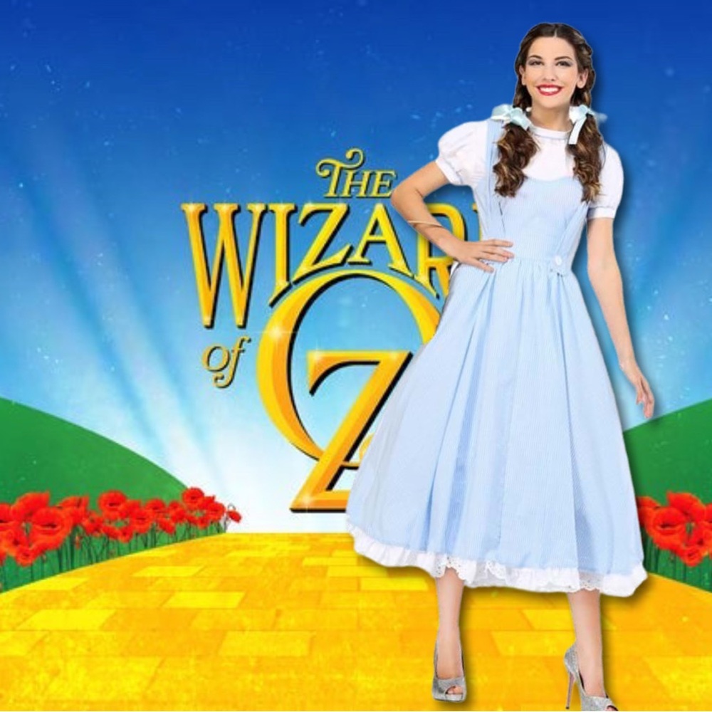 NWT-Dorothy Wizard of Oz “Kansas Girl” Deluxe Edition Plus Size 3X Costume